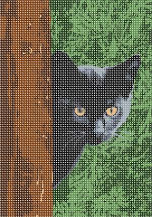 Needle Point Kit - Black Cat