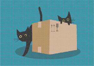 image of Cats Out Of The Box