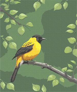 image of Yellow Bird On Branch